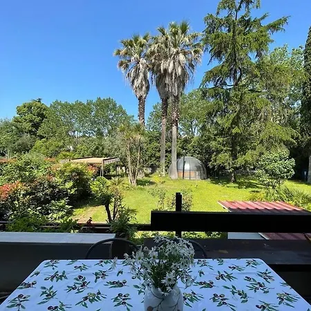 La Dolce - A Tropical Garden In * Rome
